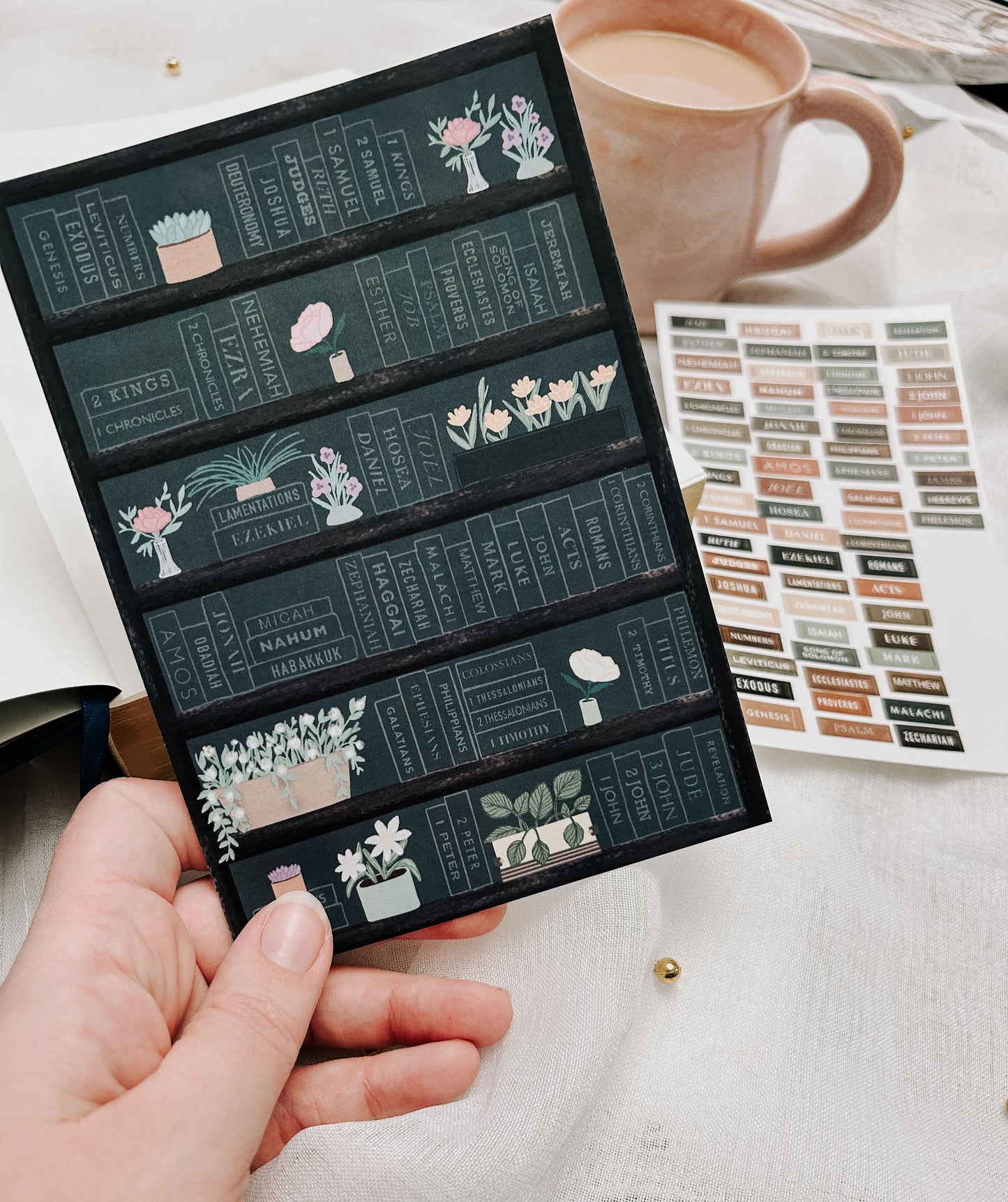 Evergreen Bible Reading Tracker