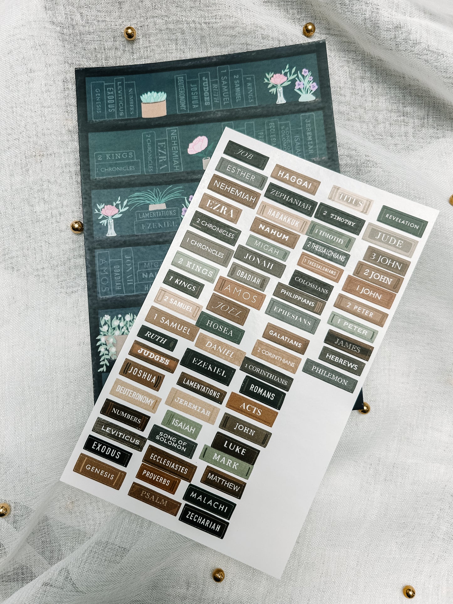 Evergreen Bible Reading Tracker