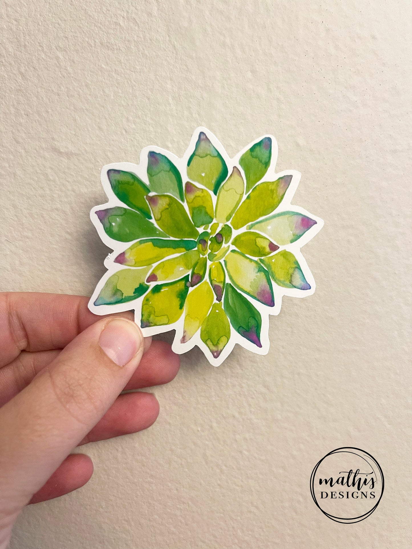 Watercolor Succulent Sticker Set of 9