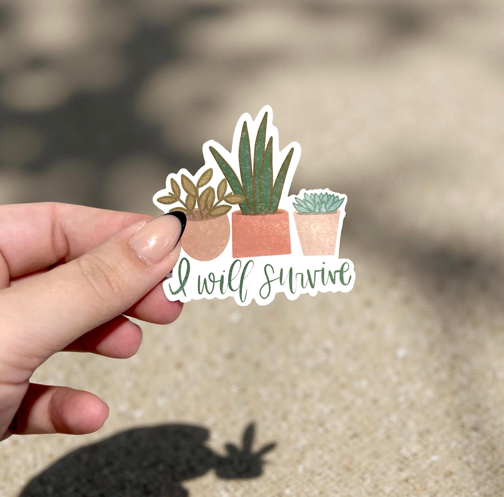 Hand holding a sticker with succulents and 'I will survive' text against a blurred background